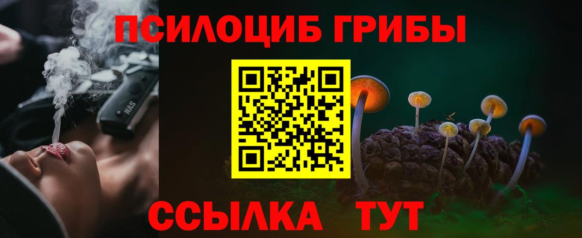 Галлюциногенные грибы MAGIC MUSHROOMS  Вход с VPN  Междуреченск  Галлюциногенные грибы мухоморы 